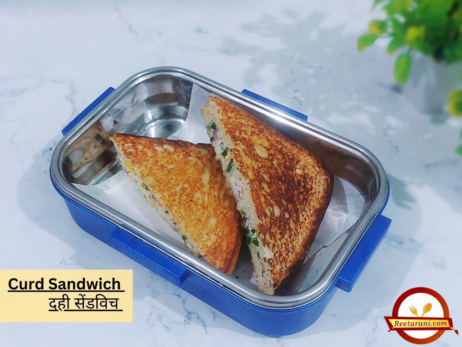 dahi sandwich
