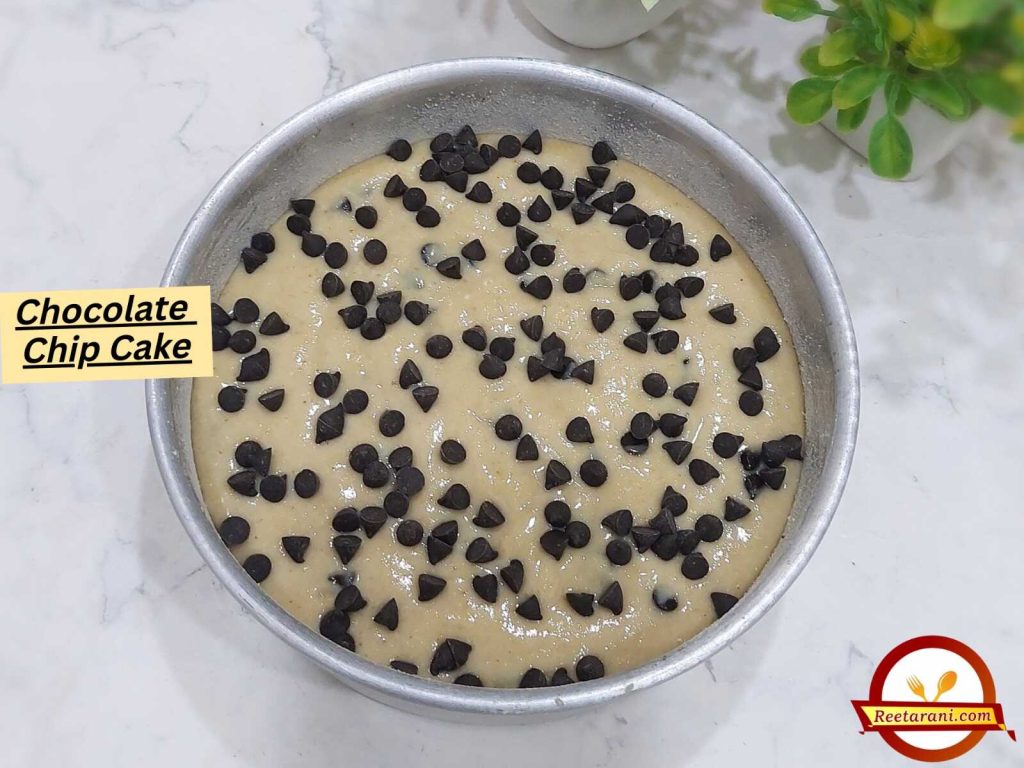 Chocolate Chip Cake Recipe